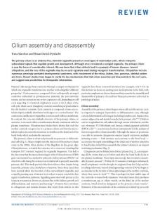 ncb3370-Cilium assembly and disassembly