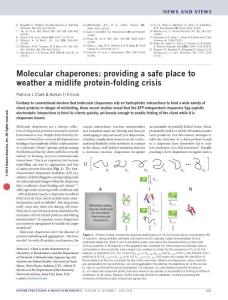 nsmb.3255-Molecular chaperones- providing a safe place to weather a midlife protein-folding crisis