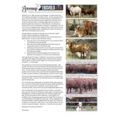 Welcome to our 2015 summary sale catalogue. It’s ...