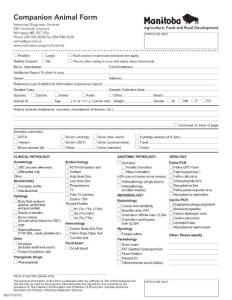 Routine Legal Rush - Manitoba
