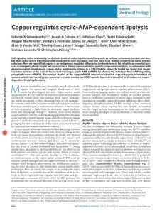 nchembio.2098-Copper regulates cyclic-AMP-dependent lipolysis
