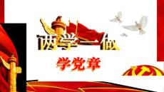 两学一做-学党章