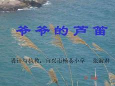 爷爷的芦笛-精品小学PPT课件