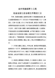 社會(huì)治安綜合治理情況匯報(bào)