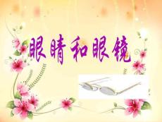 人教版物理八上3.4《眼睛和眼鏡》課件9