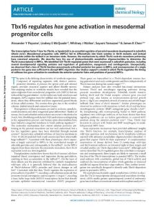 nchembio.2124-Tbx16 regulates hox gene activation in mesodermal progenitor cells