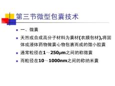 第十七章第六节，微型包囊技术