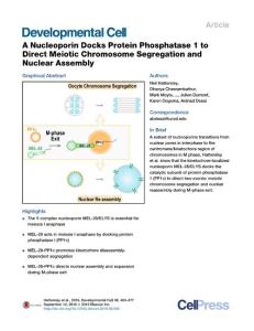 Development Cell-2016-A Nucleoporin Docks Protein Phosphatase 1 to Direct Meiotic Chromosome Segregation and Nuclear Assembly