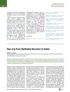 Development Cell-2016-Rac-ing from Epithelial Secretor to Eater