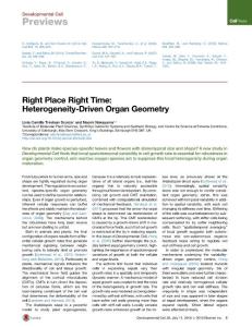 Developmental Cell-206-Right Place Right Time- Heterogeneity-Driven Organ Geometry