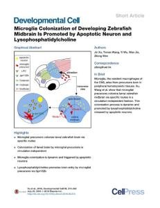 Developmental Cell-2016-Microglia Colonization of Developing Zebrafish Midbrain Is Promoted by Apoptotic Neuron and Lysophosphatidylcholine