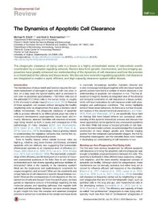 Developmental Cell-2016-The Dynamics of Apoptotic Cell Clearance