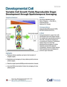 Developmental Cell-2016-Variable Cell Growth Yields Reproducible Organ Development through Spatiotemporal Averaging