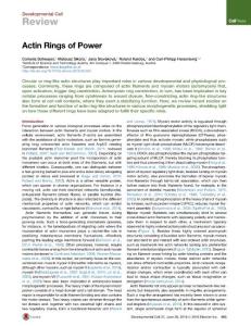 Developmental Cell-2016-Actin Rings of Power