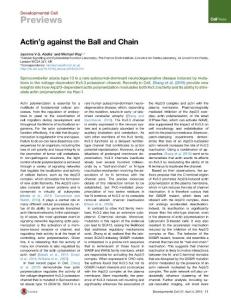 Developmental Cell-2016-Actin’g against the Ball and ChainActin’g against the Ball and Chain