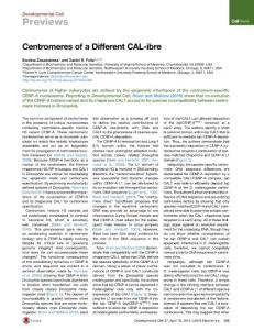 Developmental Cell-2016-Centromeres of a Different CAL-ibre