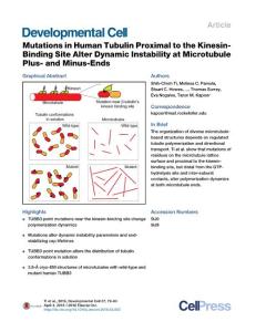 Developmental Cell-2016-Mutations in Human Tubulin Proximal to the Kinesin-Binding Site Alter Dynamic Instability at Microtubule Plus- and Minus-Ends