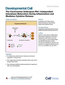 Developmental Cell-2016-The Centrosome Undergoes Plk1-Independent Interphase Maturation during Inflammation and Mediates Cytokine Release