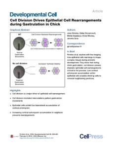 Developmental Cell-2016-Cell Division Drives Epithelial Cell Rearrangements during Gastrulation in Chick