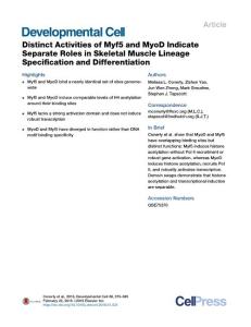 Developmental Cell-2016-Distinct Activities of Myf5 and MyoD Indicate Separate Roles in Skeletal Muscle Lineage Specification and Differentiation