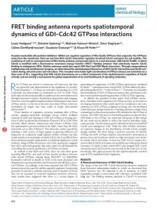 nchembio.2145-FRET binding antenna reports spatiotemporal dynamics of GDI–Cdc42 GTPase interactions