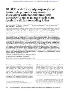 Genes Dev.-2016-Burke-2076-92-DUSP11 activity on triphosphorylated transcripts promotes Argonaute association with noncanonical viral microRNAs and regulates steady-state levels of cellular..