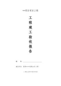 工程竣工驗(yàn)收?qǐng)?bào)告（建設(shè)方）