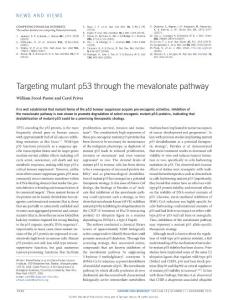 ncb3435-Targeting mutant p53 through the mevalonate pathway