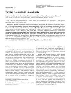cr2016117a-Turning rice meiosis into mitosis