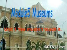 九年级英语上册第五模块第一单元 Module5 Museums Unit 1 You mustn’t touch it.