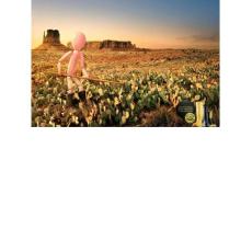 優(yōu)秀服飾廣告大賞