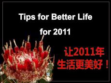 讓2017更美好.pps