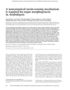 Genes Dev.-2016-Simonini-2286-96-A noncanonical auxin-sensing mechanism is required for organ morphogenesis in Arabidopsis