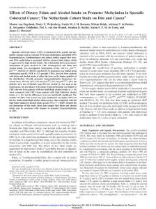 Effects of Dietary Folate and Alcohol Intake on Promoter…