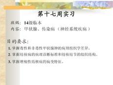 病理學(第八版)切片考試甲狀腺、傳染病 實習