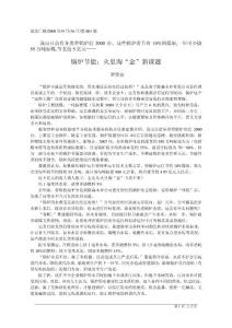 鍋爐節(jié)能_火里淘_金_新課題