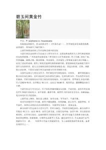 碧玉間黃金竹