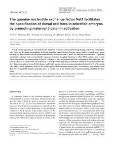 cr2016141a-The guanine nucleotide exchange factor Net1 facilitates the specification of dorsal cell fates in zebrafish embryos by promoting maternal β-catenin activation