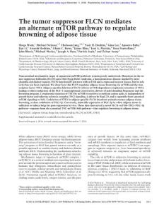 Genes Dev.-2016-Wada-2551-64-The tumor suppressor FLCN mediates an alternate mTOR pathway to regulate browning of adipose tissue