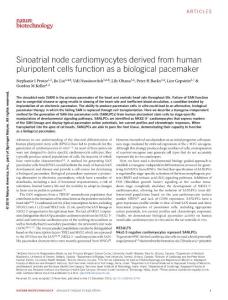nbt.3745-Sinoatrial node cardiomyocytes derived from human pluripotent cells function as a biological pacemaker