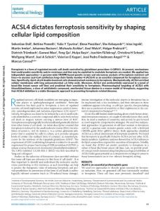 nchembio.2239-ACSL4 dictates ferroptosis sensitivity by shaping cellular lipid composition