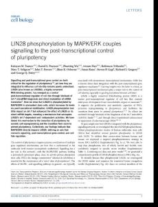 ncb3453-LIN28 phosphorylation by MAPK-ERK couples signalling to the post-transcriptional control of pluripotency