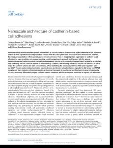 ncb3456-Nanoscale architecture of cadherin-based cell adhesions