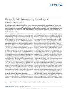 ncb3452-The control of DNA repair by the cell cycle