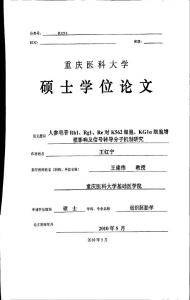 人參皂苷Rb1、Rg1、Re對K562細胞、KG1α細胞增殖影響及信號轉導分子機制研究