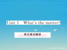 【學(xué)練優(yōu)】（安徽專版）2017年春八年級(jí)英語(yǔ)下冊(cè) unit 1 what´s the matter（第3課時(shí)）語(yǔ)法精講課件 （新版）人教新目標(biāo)版