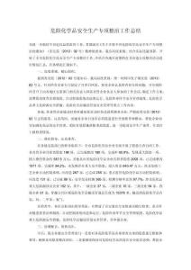 危險化學品安全生產專項整治工作總結