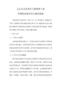市直主要領導干部任期經濟責任審計操作指南