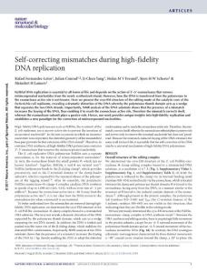 nsmb.3348-Self-correcting mismatches during high-fidelity DNA replication