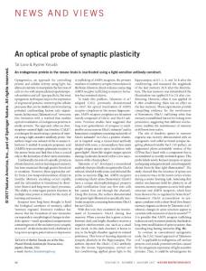 nbt.3767-An optical probe of synaptic plasticity